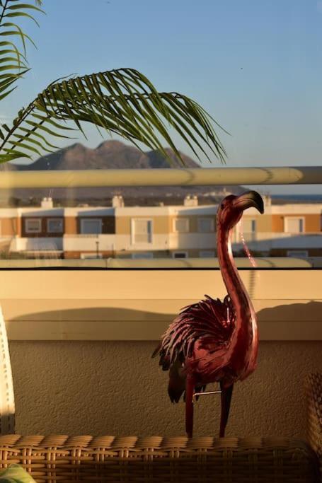 Atico Los Flamingos. Exclusive Terrace With Views Cabo De Gata Ngoại thất bức ảnh